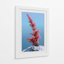 Contraste invernal - DIEGO D L | Cuadro decorativo de Canvas Lab