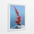 Contraste invernal - DIEGO D L | Cuadro decorativo de Canvas Lab