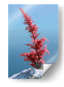 Contraste invernal - DIEGO D L | Cuadro decorativo de Canvas Lab