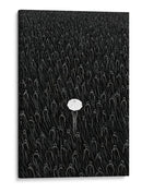 Especial - DIEGO D L | Cuadro decorativo de Canvas Lab