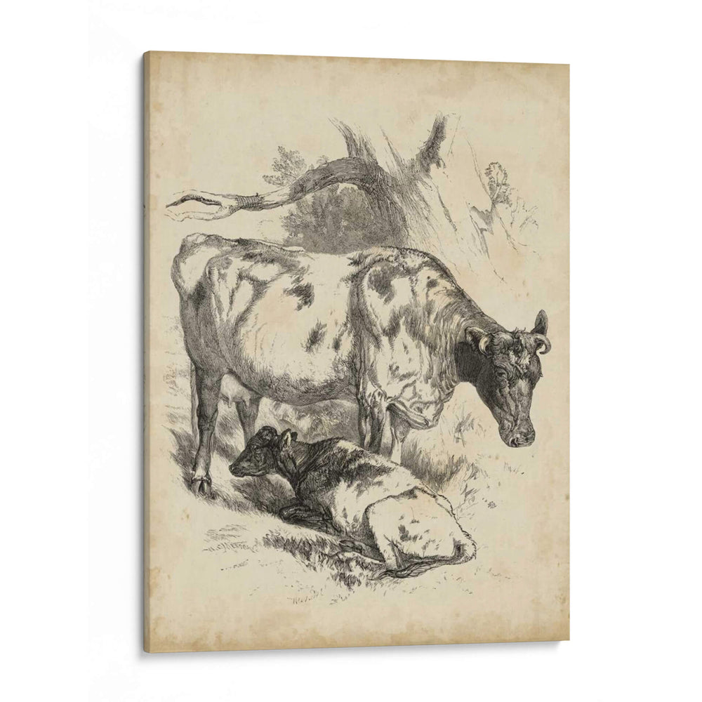 Boceto Pastoral I | Cuadro decorativo de Canvas Lab