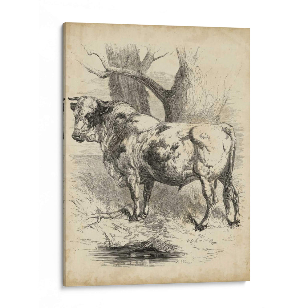 Sketch Pastoral Ii | Cuadro decorativo de Canvas Lab
