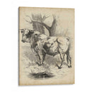 Sketch Pastoral Ii | Cuadro decorativo de Canvas Lab