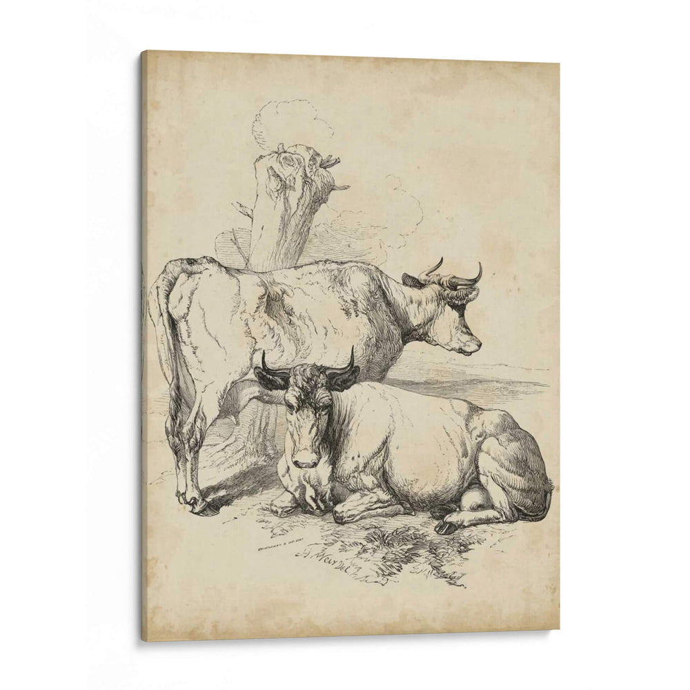 Bosquejo Pastoral Iii | Cuadro decorativo de Canvas Lab