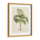 Les Palmiers I | Cuadro decorativo de Canvas Lab