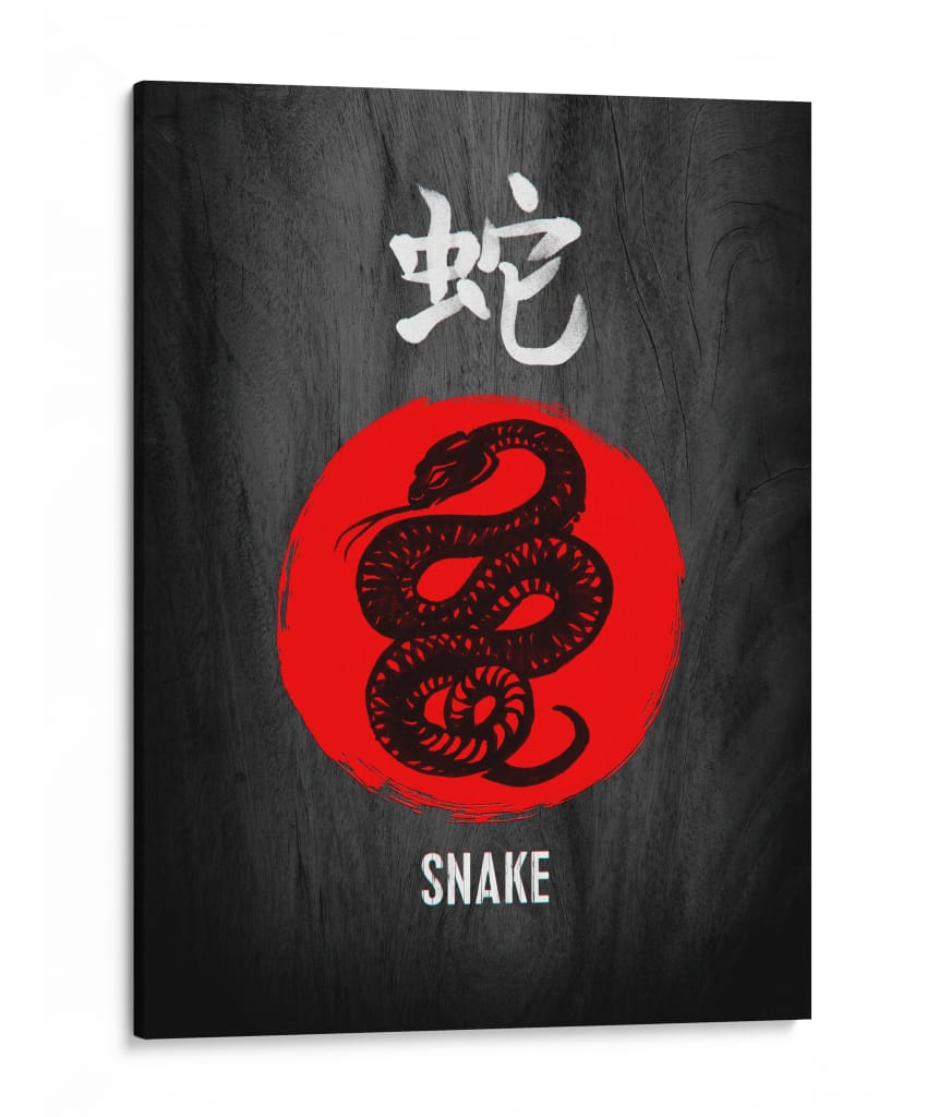 Espiral de Serpiente - Puffy Design | Cuadro decorativo de Canvas Lab