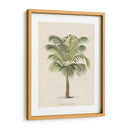 Les Palmiers Ii | Cuadro decorativo de Canvas Lab