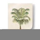 Les Palmiers Ii | Cuadro decorativo de Canvas Lab