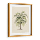 Les Palmiers Iii | Cuadro decorativo de Canvas Lab