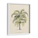Les Palmiers Iii | Cuadro decorativo de Canvas Lab