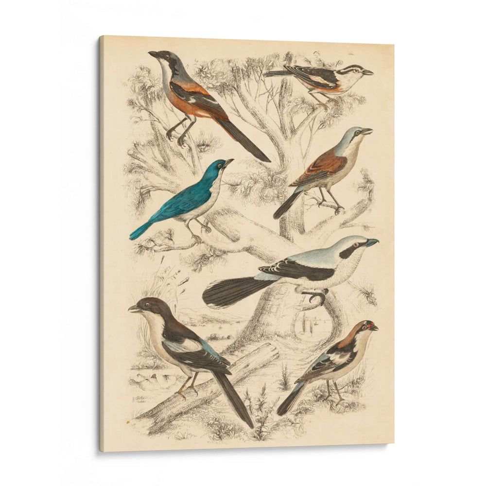 Hábitat Avian V - Milne | Cuadro decorativo de Canvas Lab