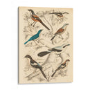 Hábitat Avian V - Milne | Cuadro decorativo de Canvas Lab