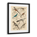 Hábitat Avian V - Milne | Cuadro decorativo de Canvas Lab