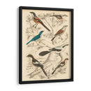 Hábitat Avian V - Milne | Cuadro decorativo de Canvas Lab