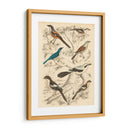 Hábitat Avian V - Milne | Cuadro decorativo de Canvas Lab