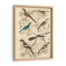 Hábitat Avian V - Milne | Cuadro decorativo de Canvas Lab