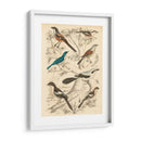 Hábitat Avian V - Milne | Cuadro decorativo de Canvas Lab