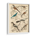 Hábitat Avian V - Milne | Cuadro decorativo de Canvas Lab