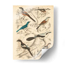 Hábitat Avian V - Milne | Cuadro decorativo de Canvas Lab