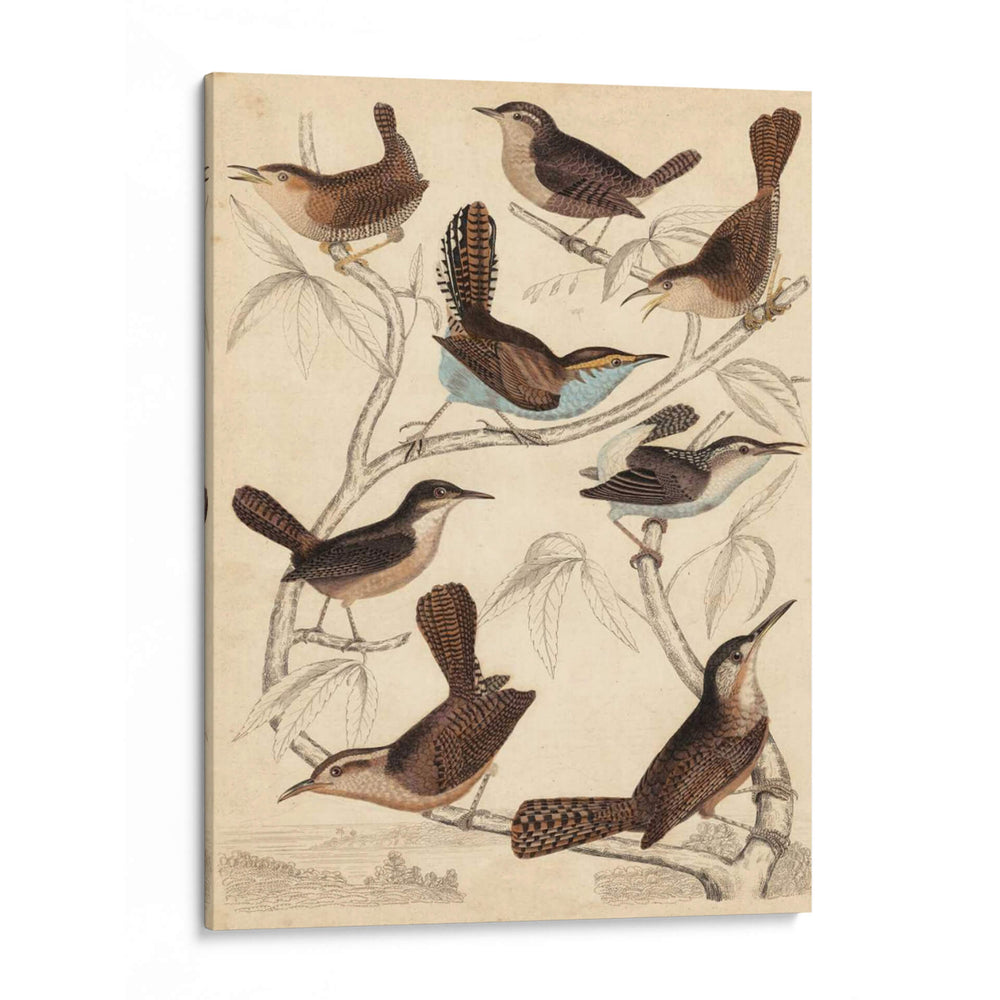 Hábitat Avian Vi - Milne | Cuadro decorativo de Canvas Lab