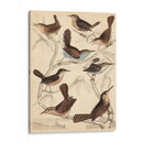 Hábitat Avian Vi - Milne | Cuadro decorativo de Canvas Lab