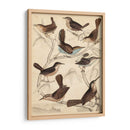 Hábitat Avian Vi - Milne | Cuadro decorativo de Canvas Lab