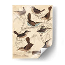 Hábitat Avian Vi - Milne | Cuadro decorativo de Canvas Lab