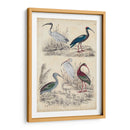 Familia Ibis - Milne | Cuadro decorativo de Canvas Lab