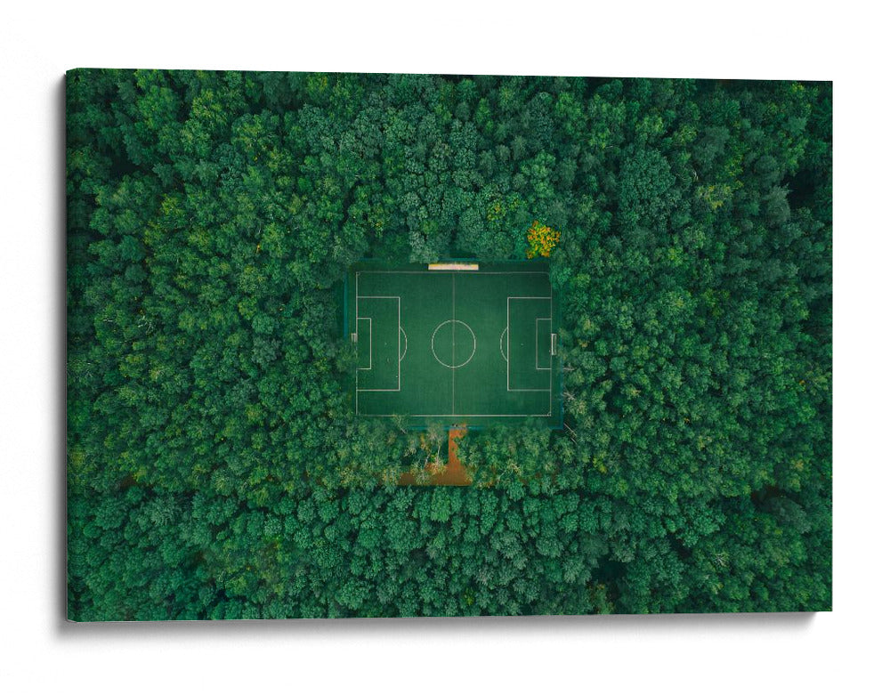 Cancha de futbol en el bosque - Carmine Chiriaco | Cuadro decorativo de Canvas Lab