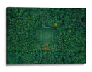 Cancha de futbol en el bosque - Carmine Chiriaco | Cuadro decorativo de Canvas Lab