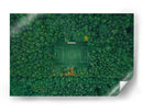 Cancha de futbol en el bosque - Carmine Chiriaco | Cuadro decorativo de Canvas Lab