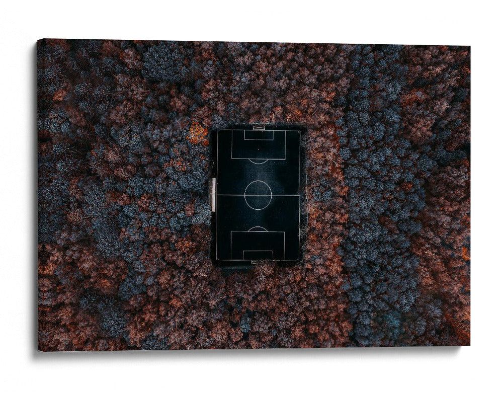 Cancha de futbol del bosque oculto - Carmine Chiriaco | Cuadro decorativo de Canvas Lab