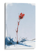 Flor roja contraste en la nieve - DIEGO D L | Cuadro decorativo de Canvas Lab