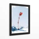 Flor roja contraste en la nieve - DIEGO D L | Cuadro decorativo de Canvas Lab