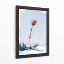 Flor roja contraste en la nieve - DIEGO D L | Cuadro decorativo de Canvas Lab