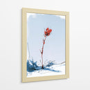 Flor roja contraste en la nieve - DIEGO D L | Cuadro decorativo de Canvas Lab