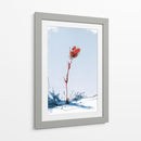 Flor roja contraste en la nieve - DIEGO D L | Cuadro decorativo de Canvas Lab