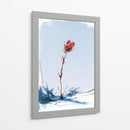 Flor roja contraste en la nieve - DIEGO D L | Cuadro decorativo de Canvas Lab