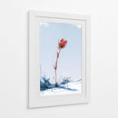 Flor roja contraste en la nieve - DIEGO D L | Cuadro decorativo de Canvas Lab