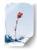 Flor roja contraste en la nieve - DIEGO D L | Cuadro decorativo de Canvas Lab