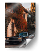 Elegancia Clásica - Sae Art | Cuadro decorativo de Canvas Lab
