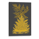 Árboles Y Hojas Ii - Vision Studio | Cuadro decorativo de Canvas Lab