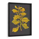 Árboles Y Hojas V - Vision Studio | Cuadro decorativo de Canvas Lab