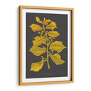 Árboles Y Hojas V - Vision Studio | Cuadro decorativo de Canvas Lab