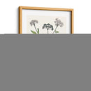 Berge Botanicals Ii - Berge | Cuadro decorativo de Canvas Lab