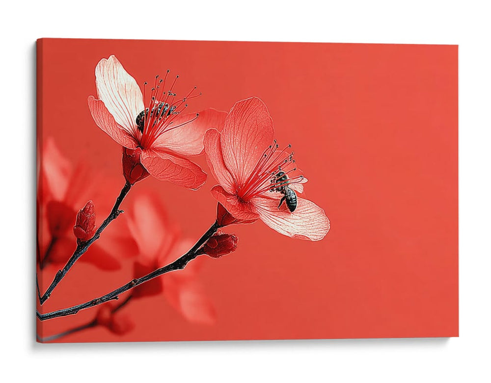 Petalos con insectos - DIEGO D L | Cuadro decorativo de Canvas Lab