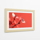 Petalos con insectos - DIEGO D L | Cuadro decorativo de Canvas Lab