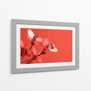 Petalos con insectos - DIEGO D L | Cuadro decorativo de Canvas Lab