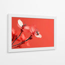 Petalos con insectos - DIEGO D L | Cuadro decorativo de Canvas Lab