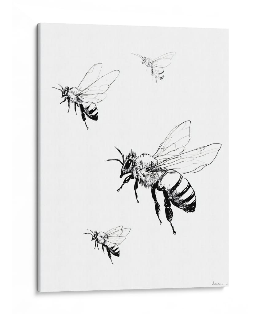 Abejas en tinta - DIEGO D L | Cuadro decorativo de Canvas Lab